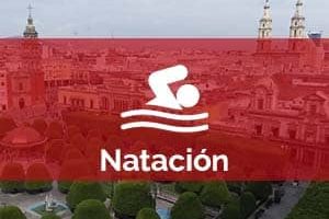 Escuelas de natación en León gto