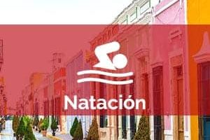 Escuelas de natación en Mérida