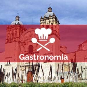 mejores escuelas de gastronomía en Oaxaca