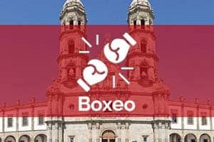 Escuelas de boxeo en Zapopan